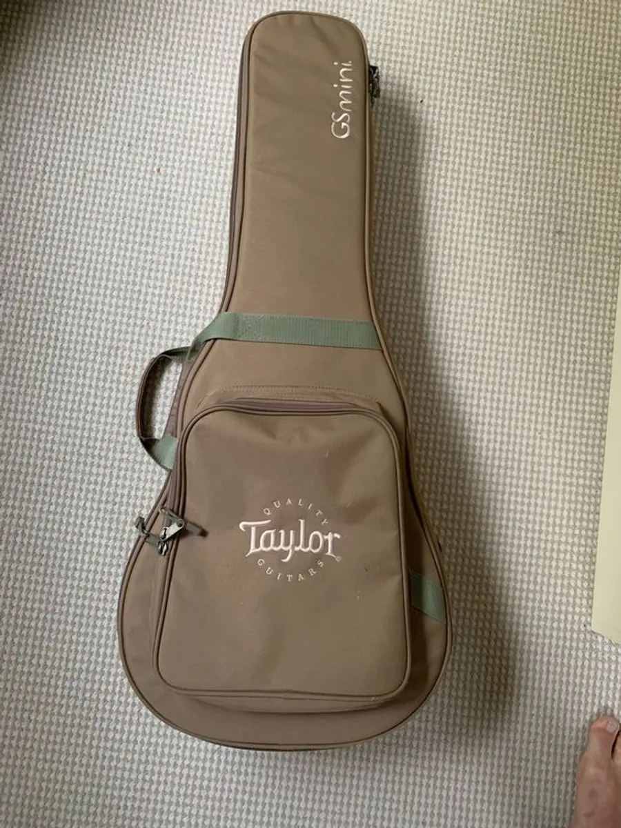Taylor GS Mini-E - Image 2