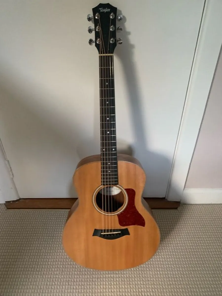 Taylor GS Mini-E - Image 4