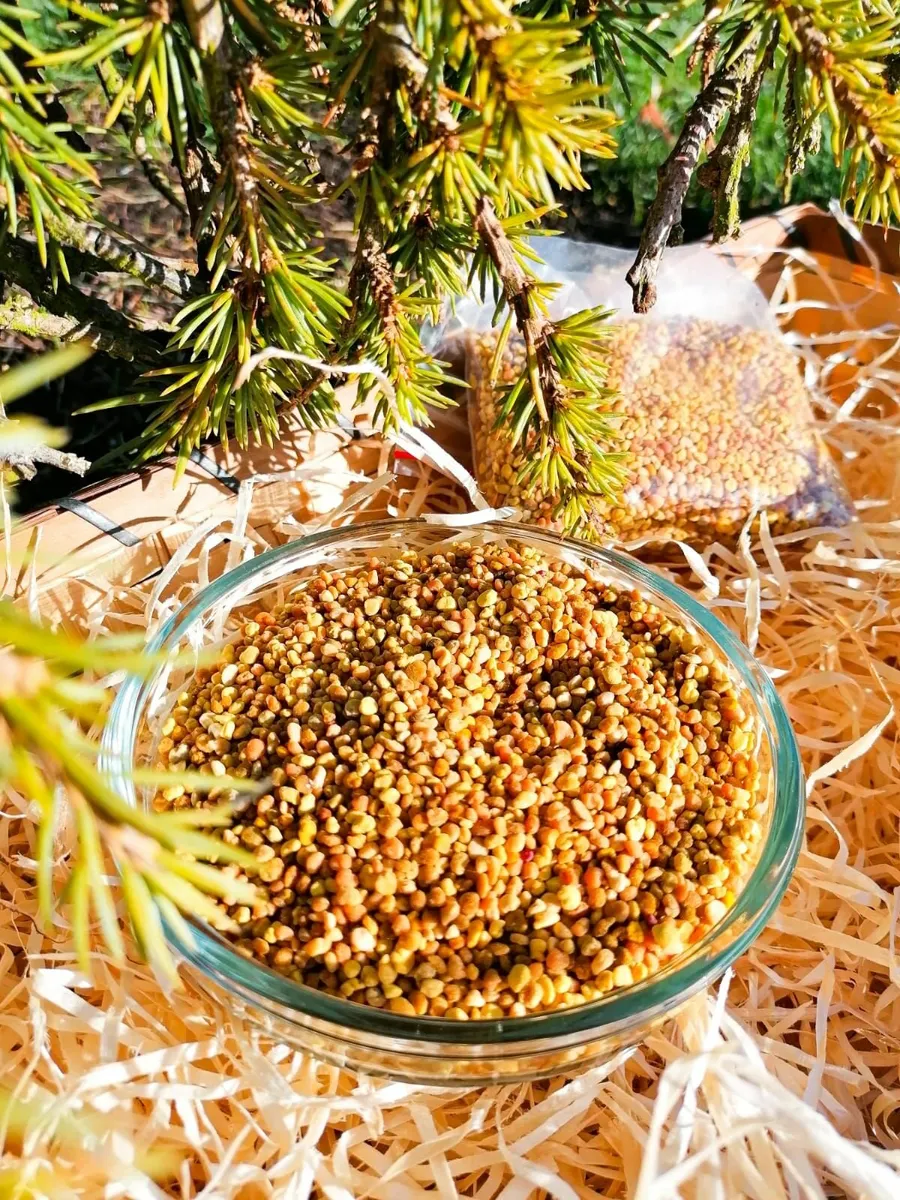 Raw Honey | Bee Pollen | Bee Bread in Bulk - Image 3