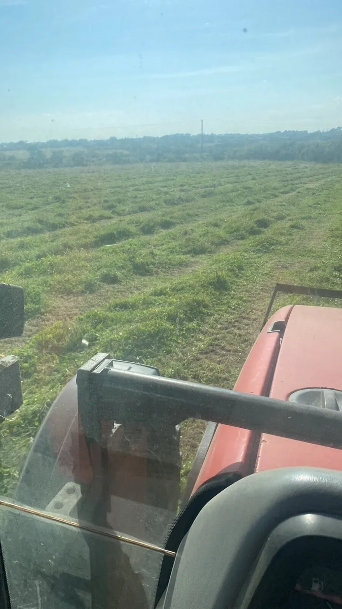 Hay - Image 3