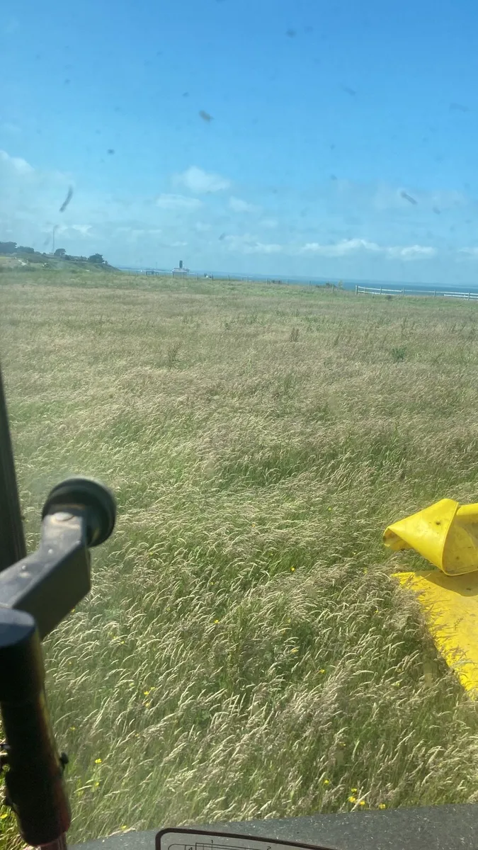 Hay - Image 1