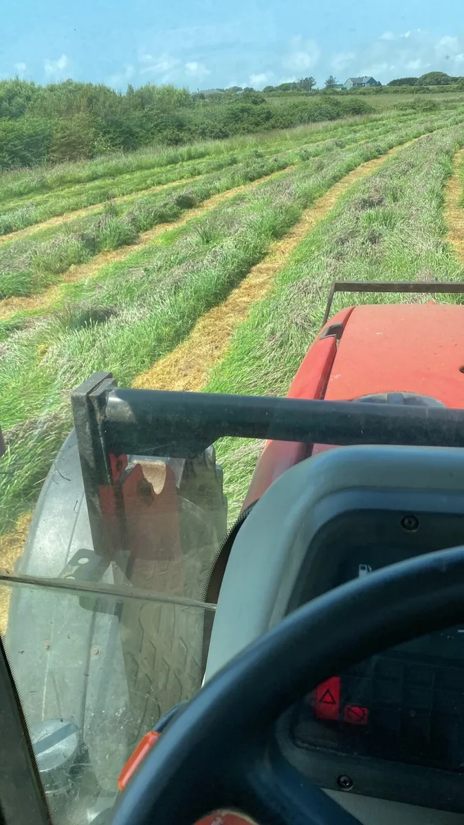 Hay - Image 2