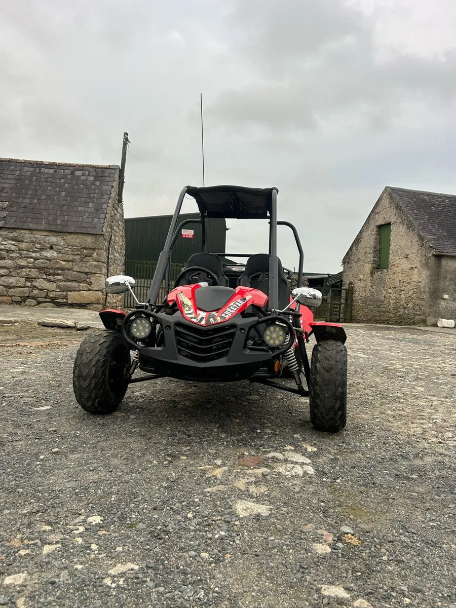 Quadzilla cheetah buggy - Image 1