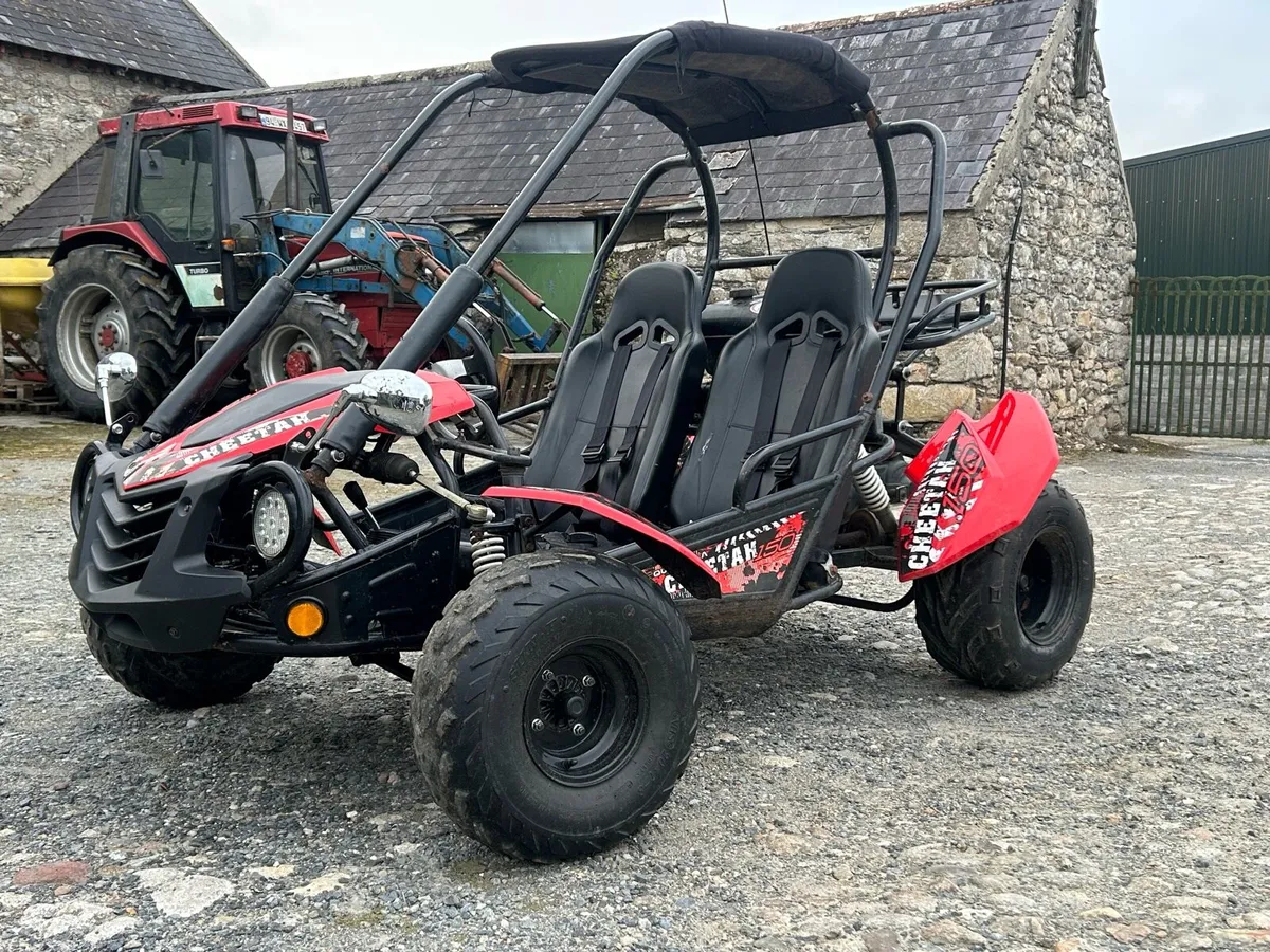 Quadzilla cheetah buggy - Image 2