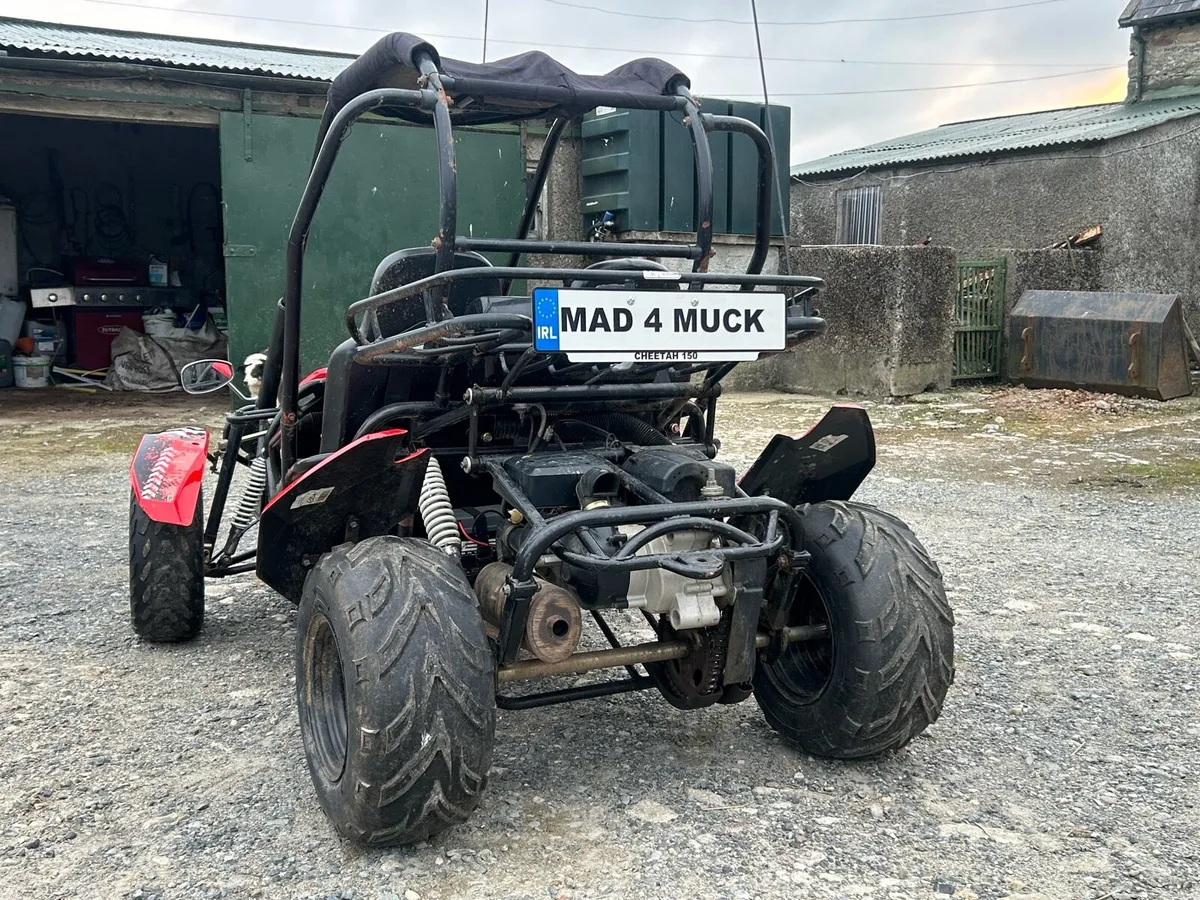 Quadzilla cheetah buggy - Image 3