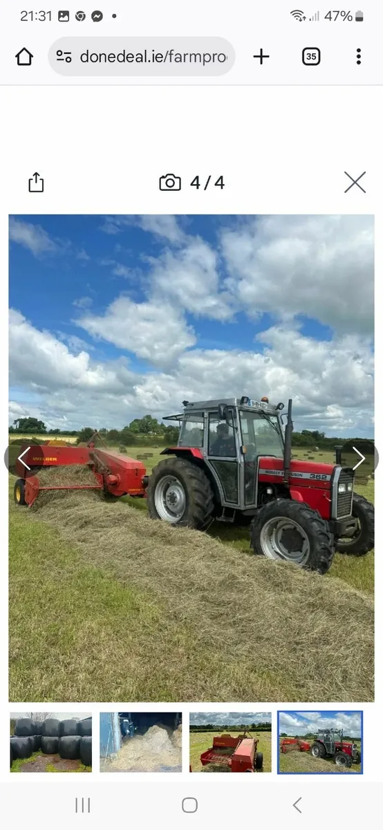 Square Bales of Hay - Image 1
