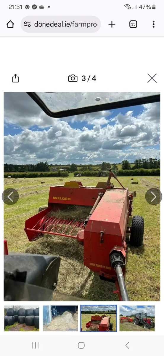 Square Bales of Hay - Image 2