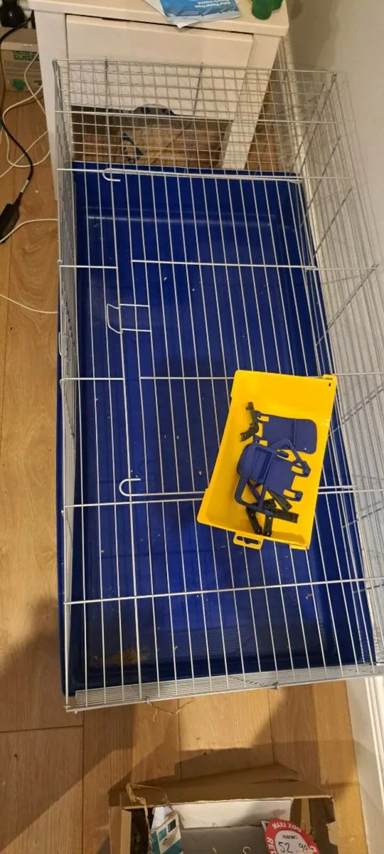 Guinea pig cage - Image 3