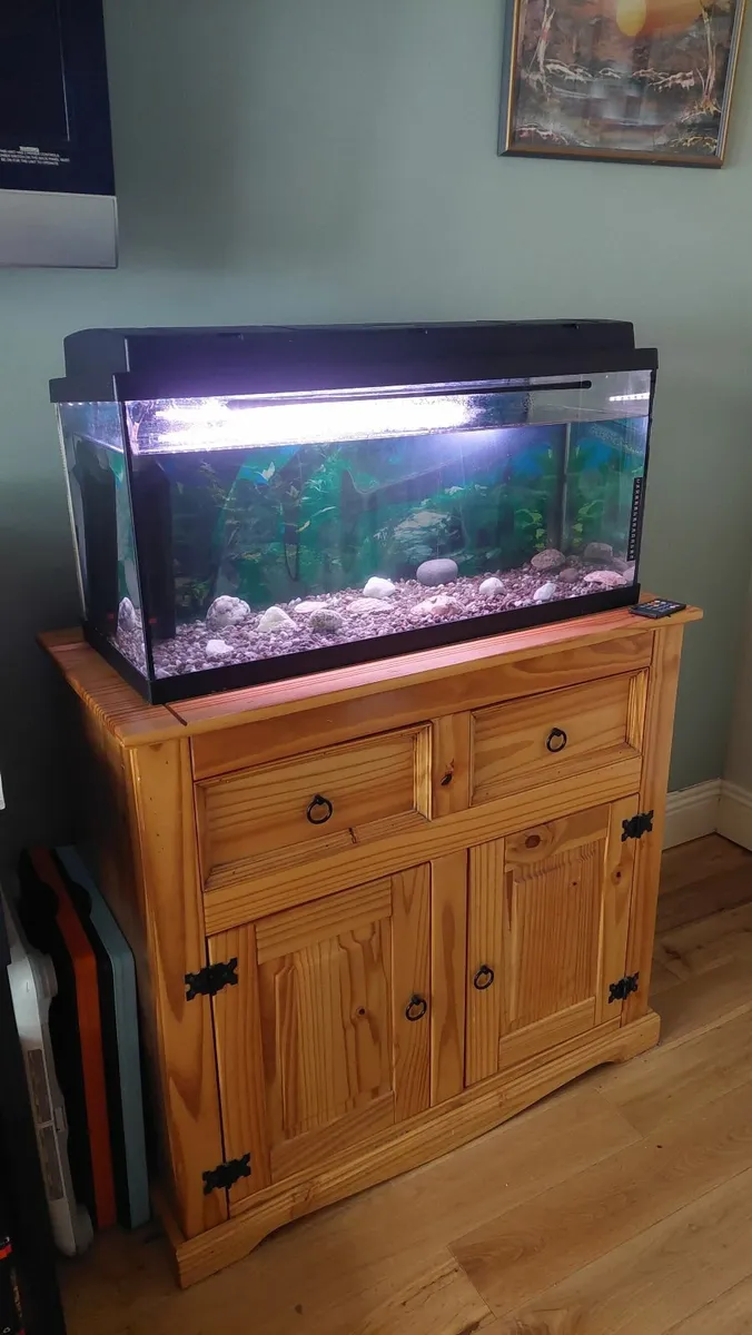 Aquarium & Two Drawer Wooden Press - Image 1