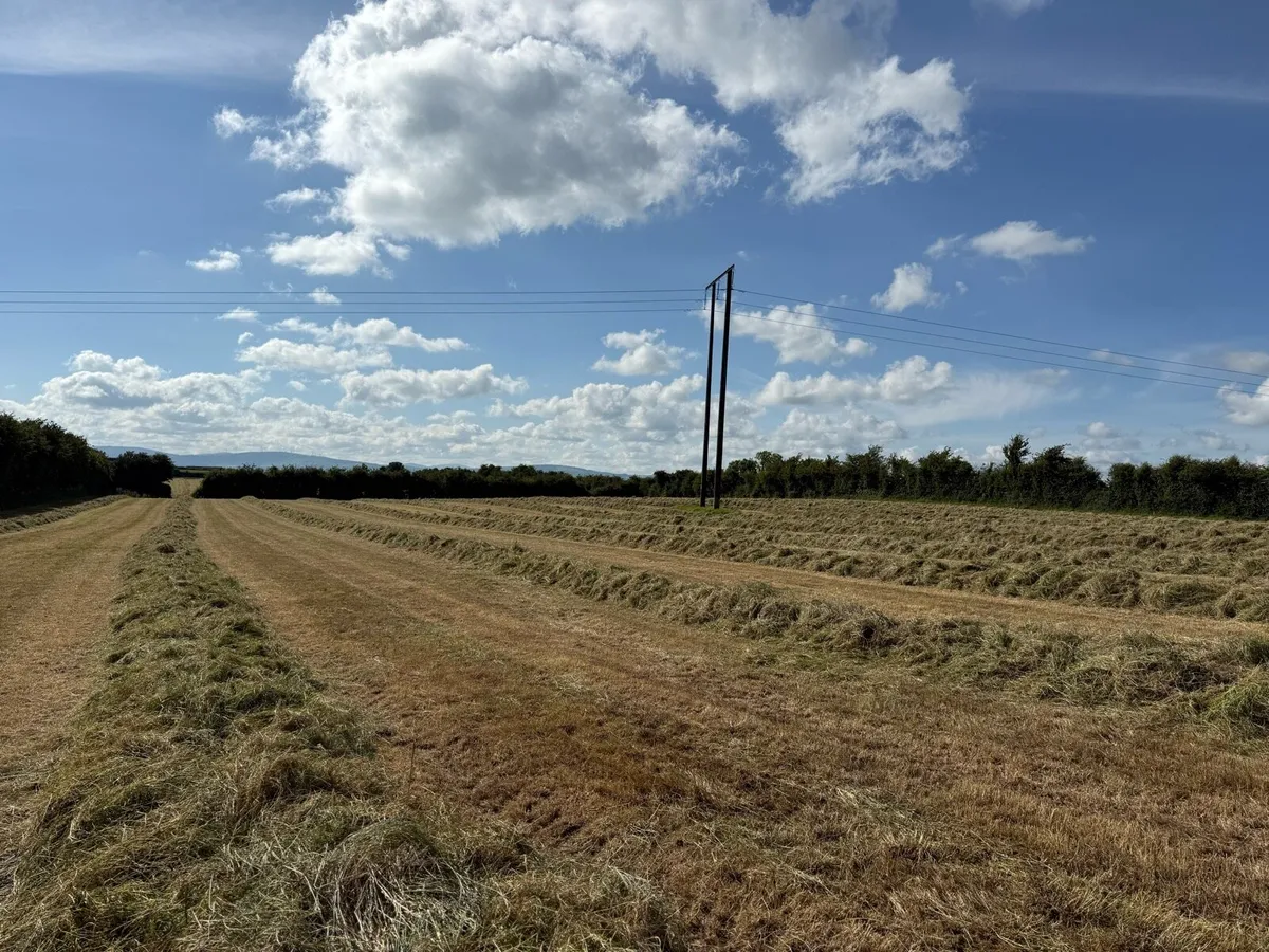 Silage bales - Image 2