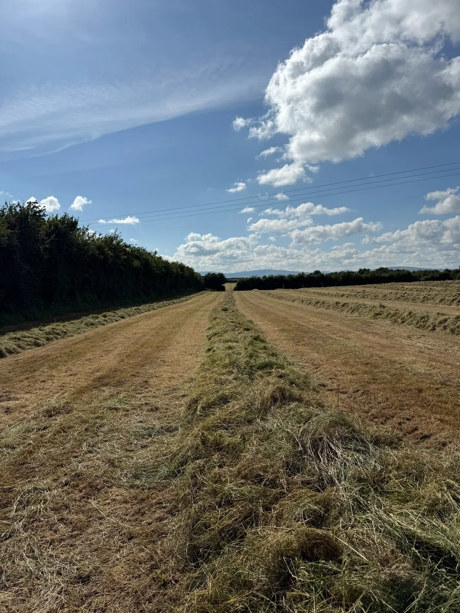 Silage bales - Image 1