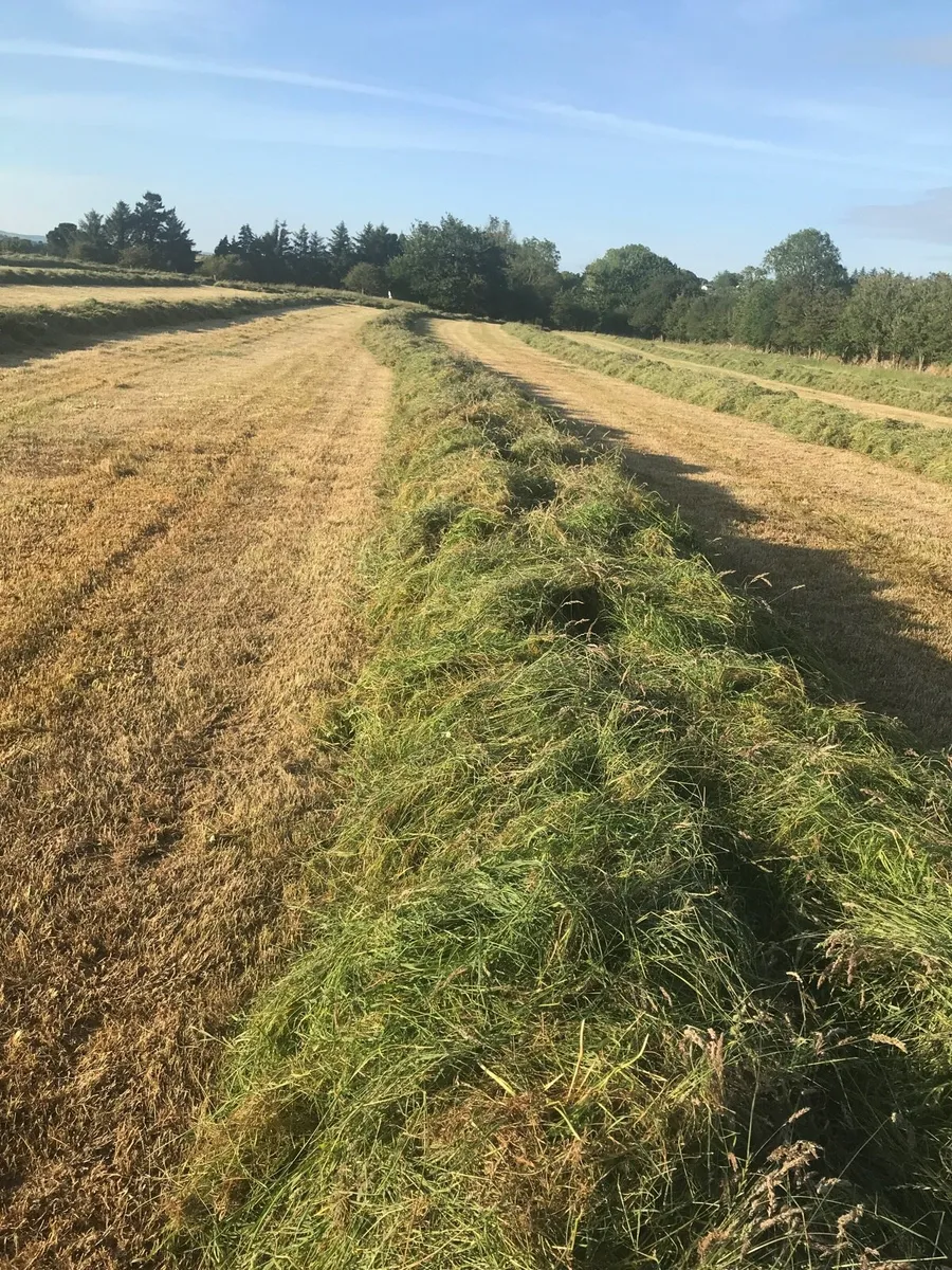 Silage Bales - Image 2