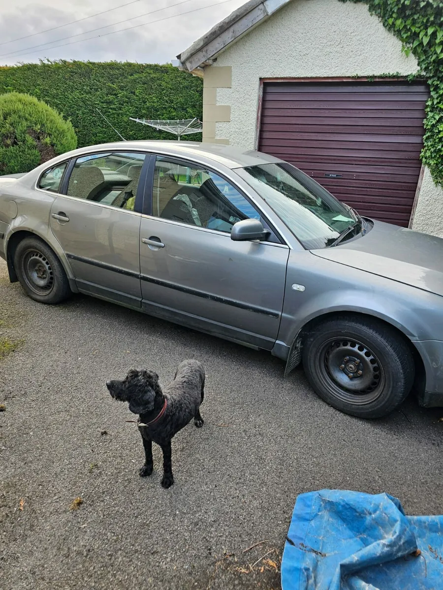 2002 Volkswagen Passat - Image 1