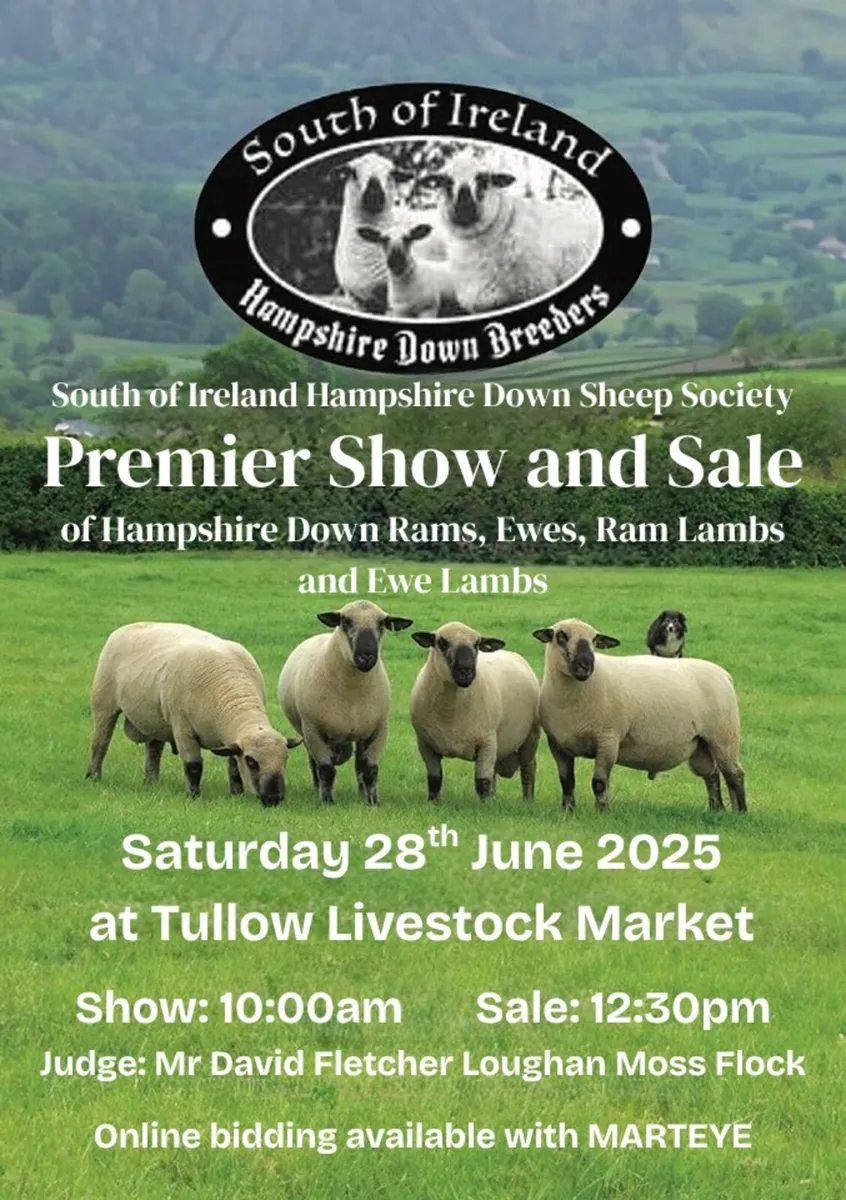 Hampshire Down Premier Sale - Image 1
