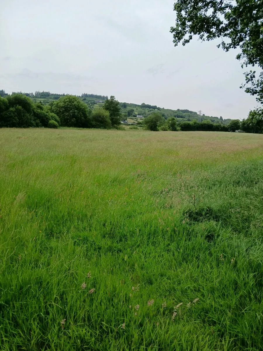 Small bales of hay