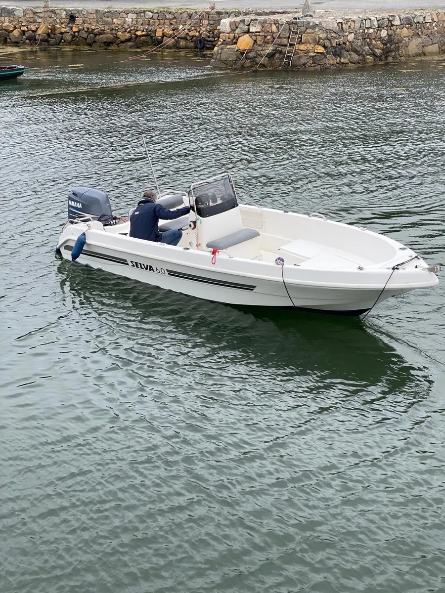 6m selva - Image 4