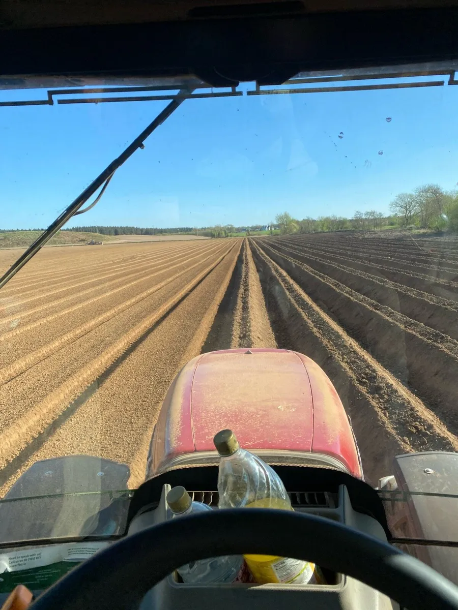 Tillage land wanted - Image 3