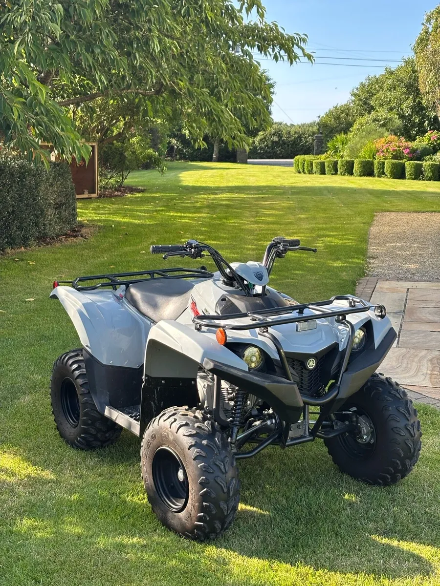 Yamaha Grizzly 90 - Image 1