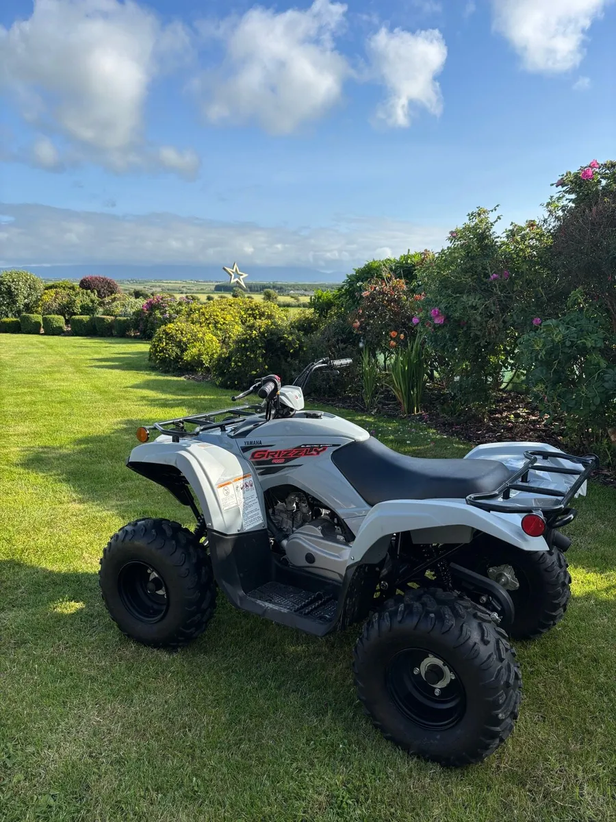 Yamaha Grizzly 90 - Image 2
