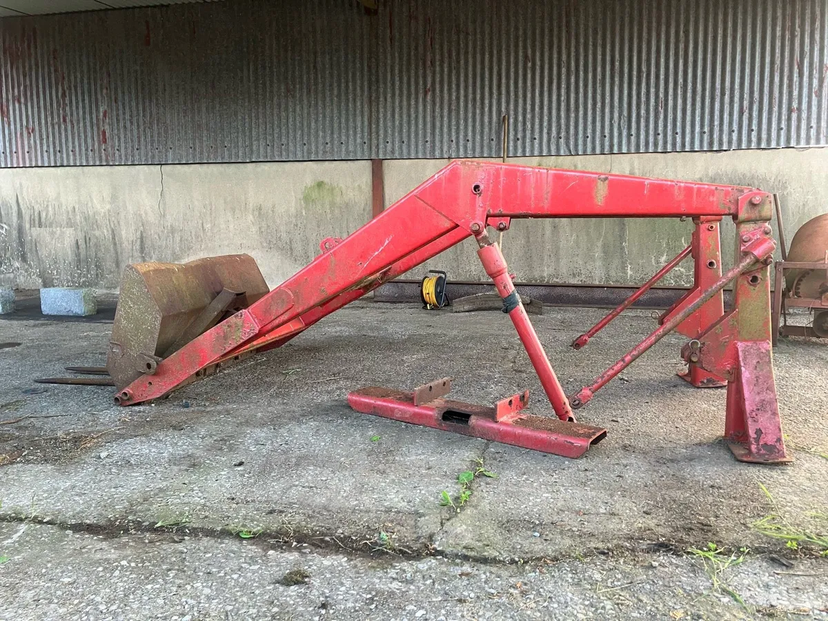 Yard Clearance - Image 1