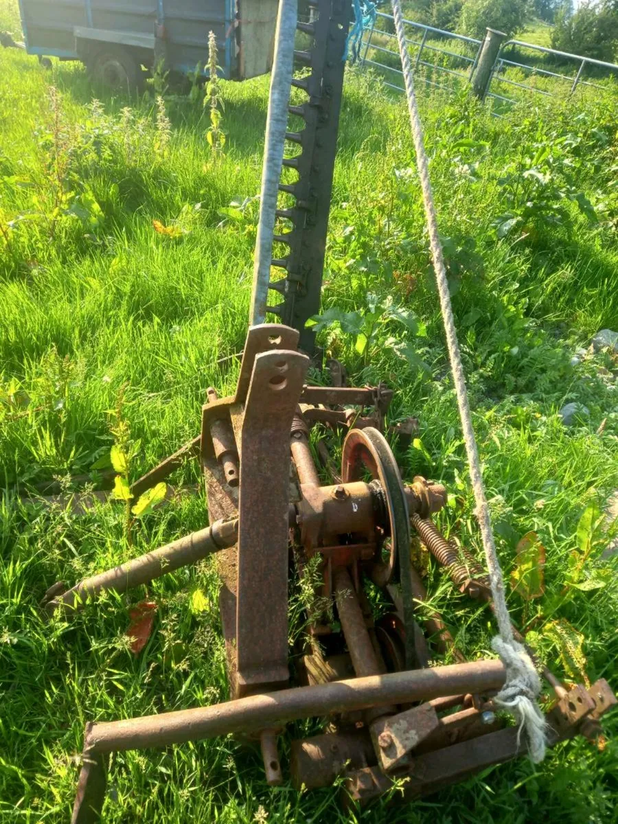 International mower - Image 1