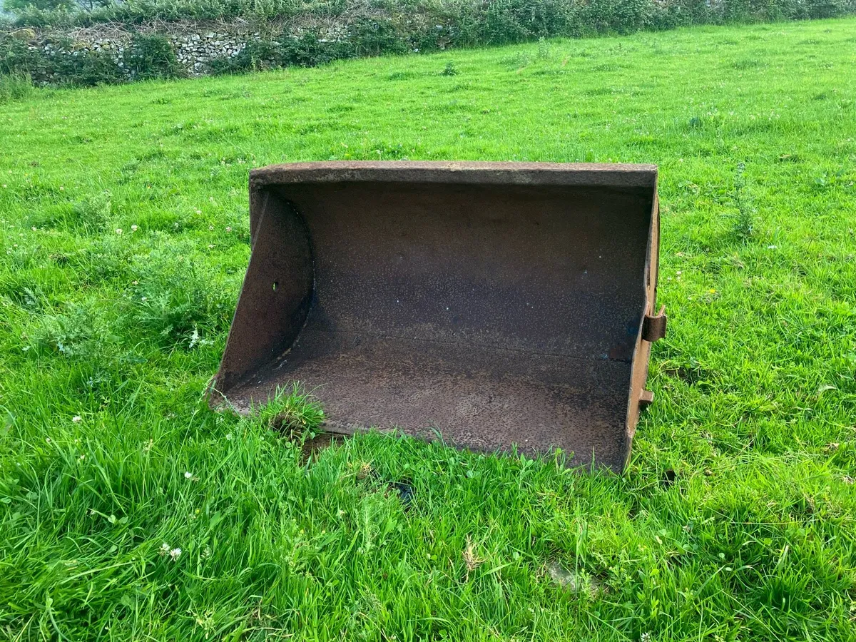 Yard Clearance - Image 2