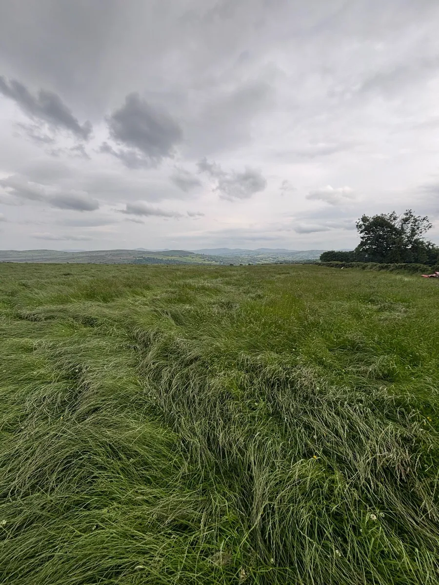 Silage/grass