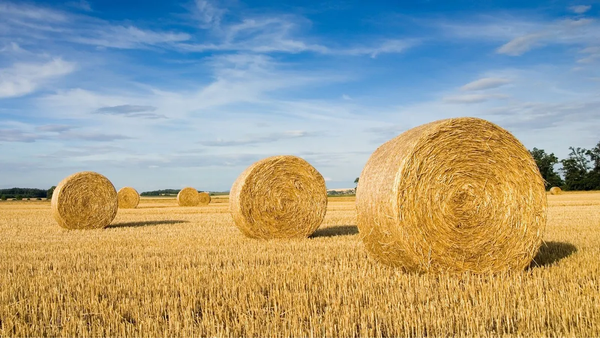 Wheat straw