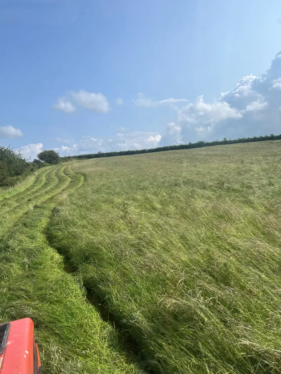 Small square bales of hay - Image 3