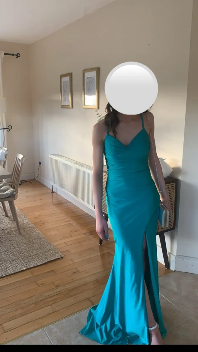 Debs Dress / TY Ball Dress - Image 3