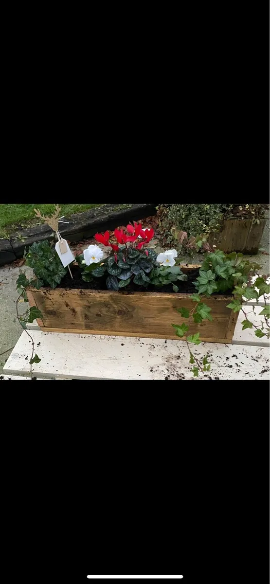 Flower boxes - Image 1
