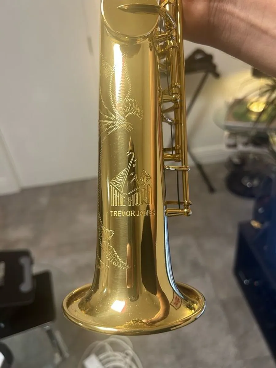 Soprano Saxophone - Trevor James Horn - Image 4