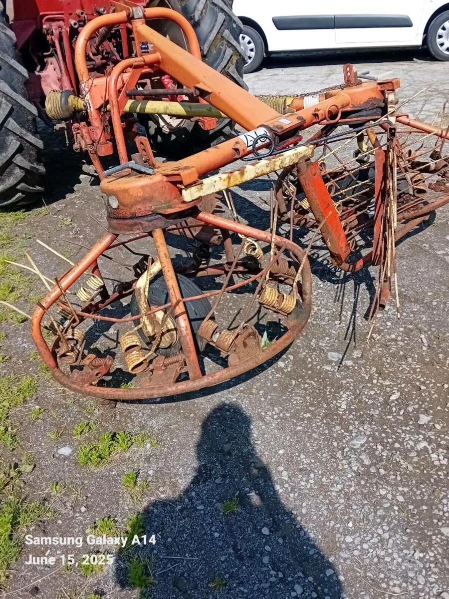 HAYBOB - Image 2