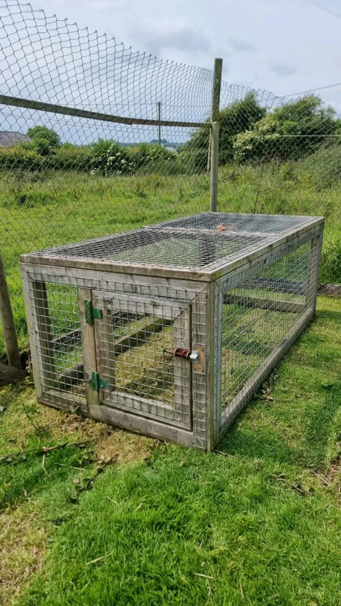 Large Animal Cage - Image 1
