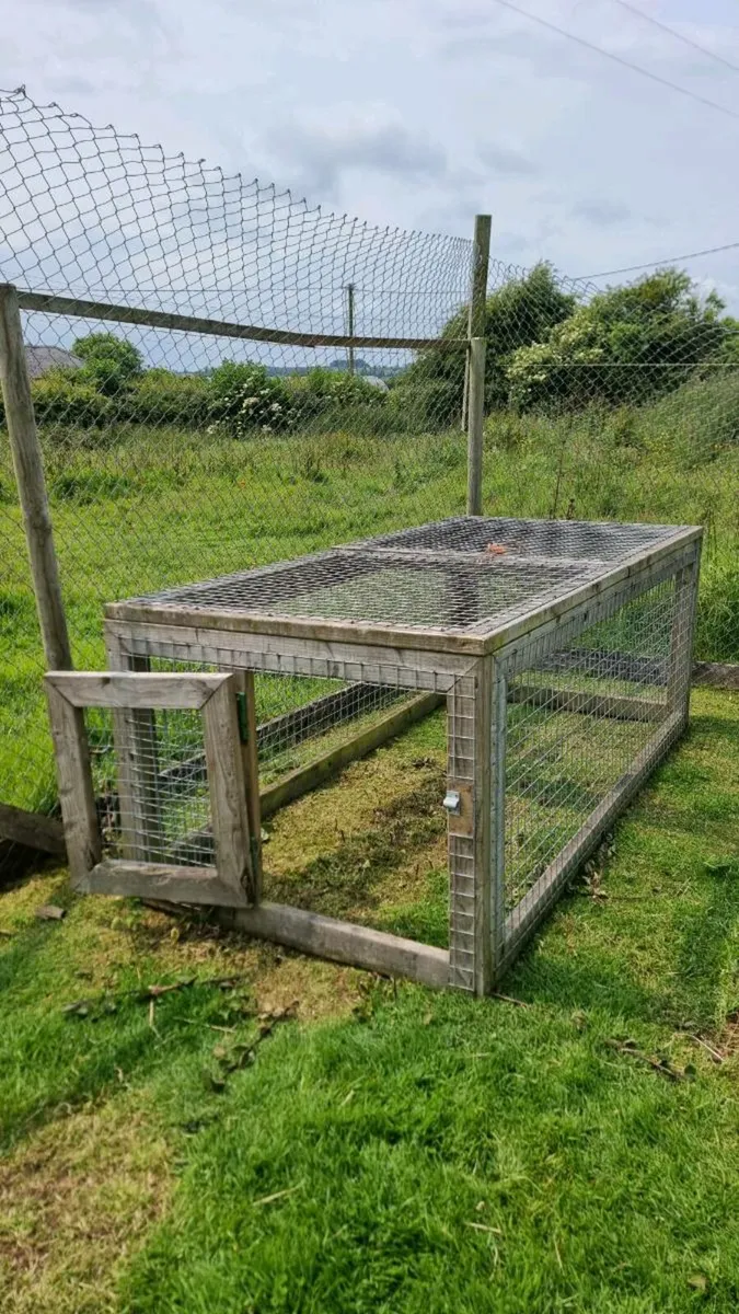 Large Animal Cage - Image 2