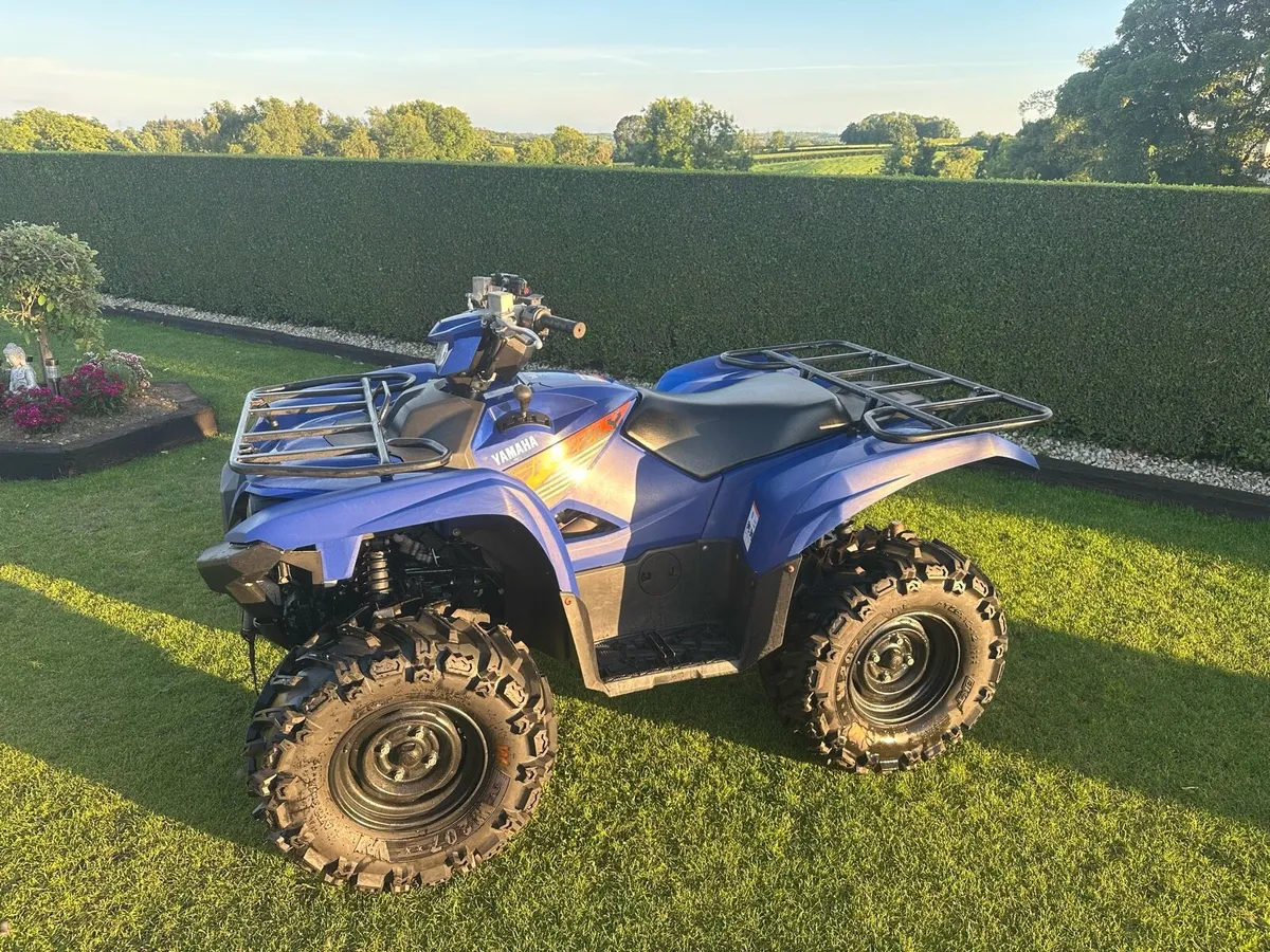 Yamaha grizzly - Image 1