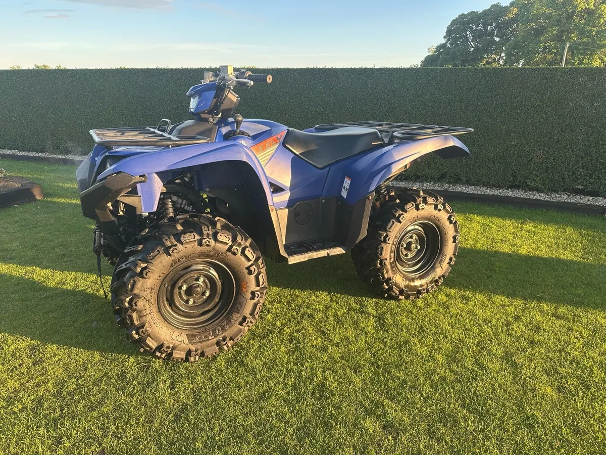 Yamaha grizzly - Image 2