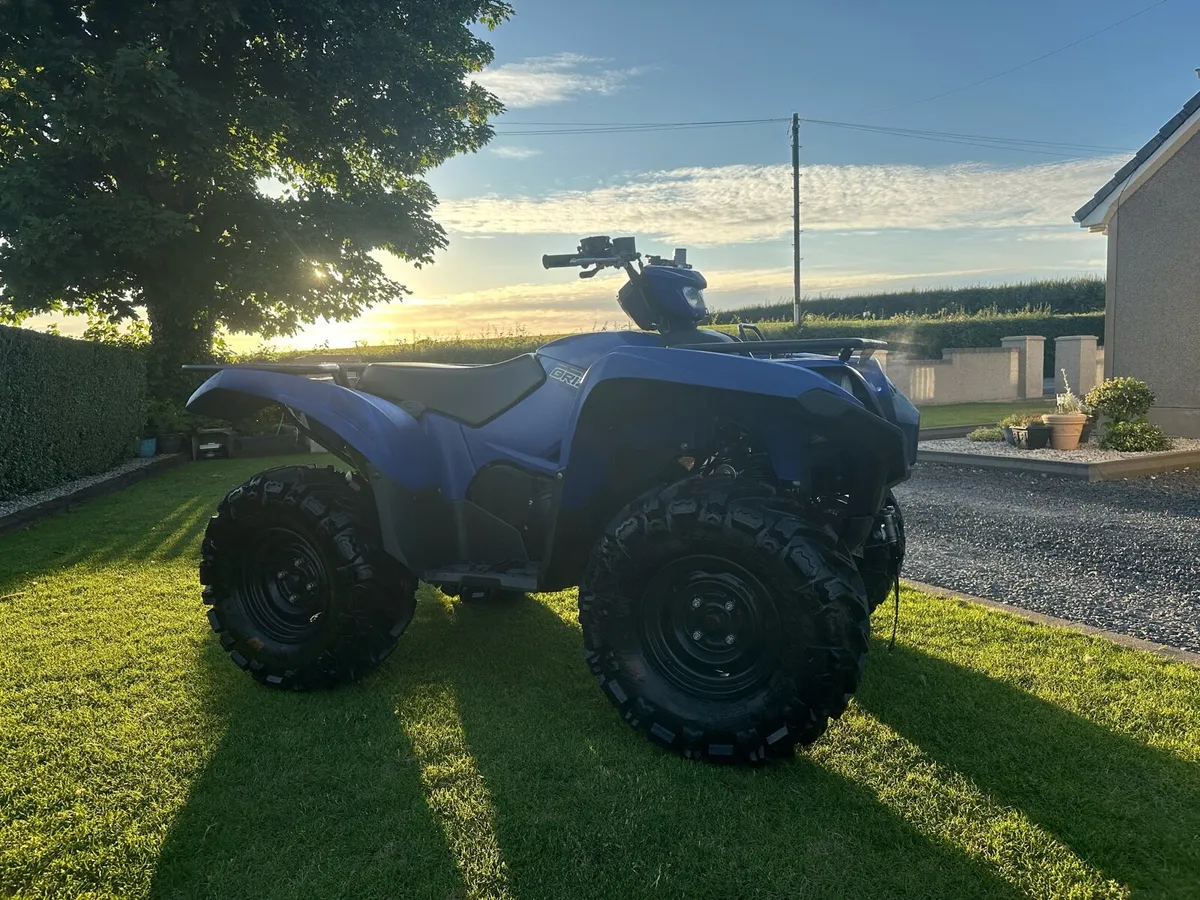 Yamaha grizzly - Image 4