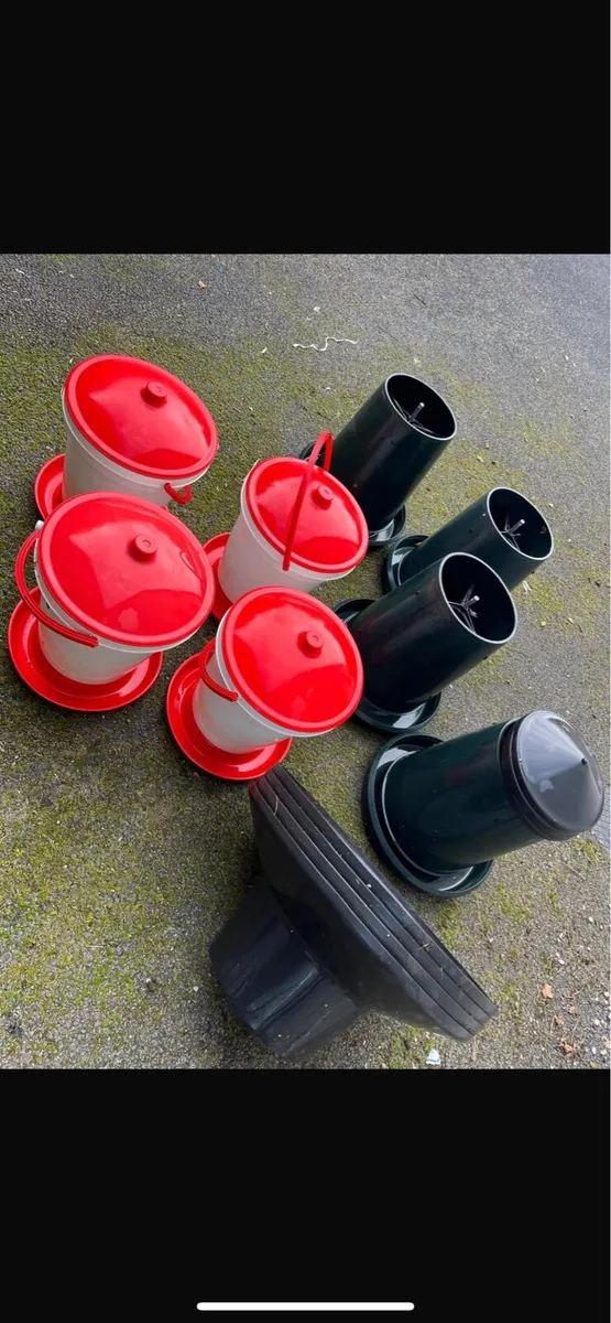 Pheasant drinkers and feeders - Image 1