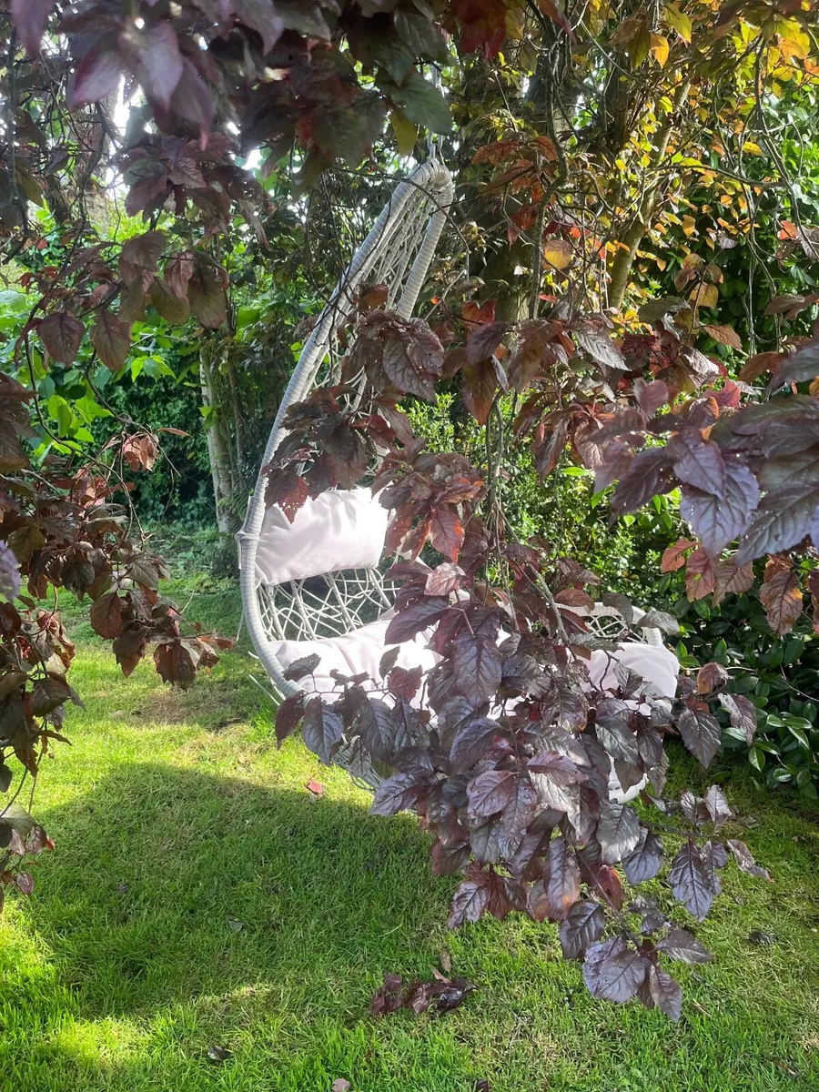 Egg Chair - Image 1