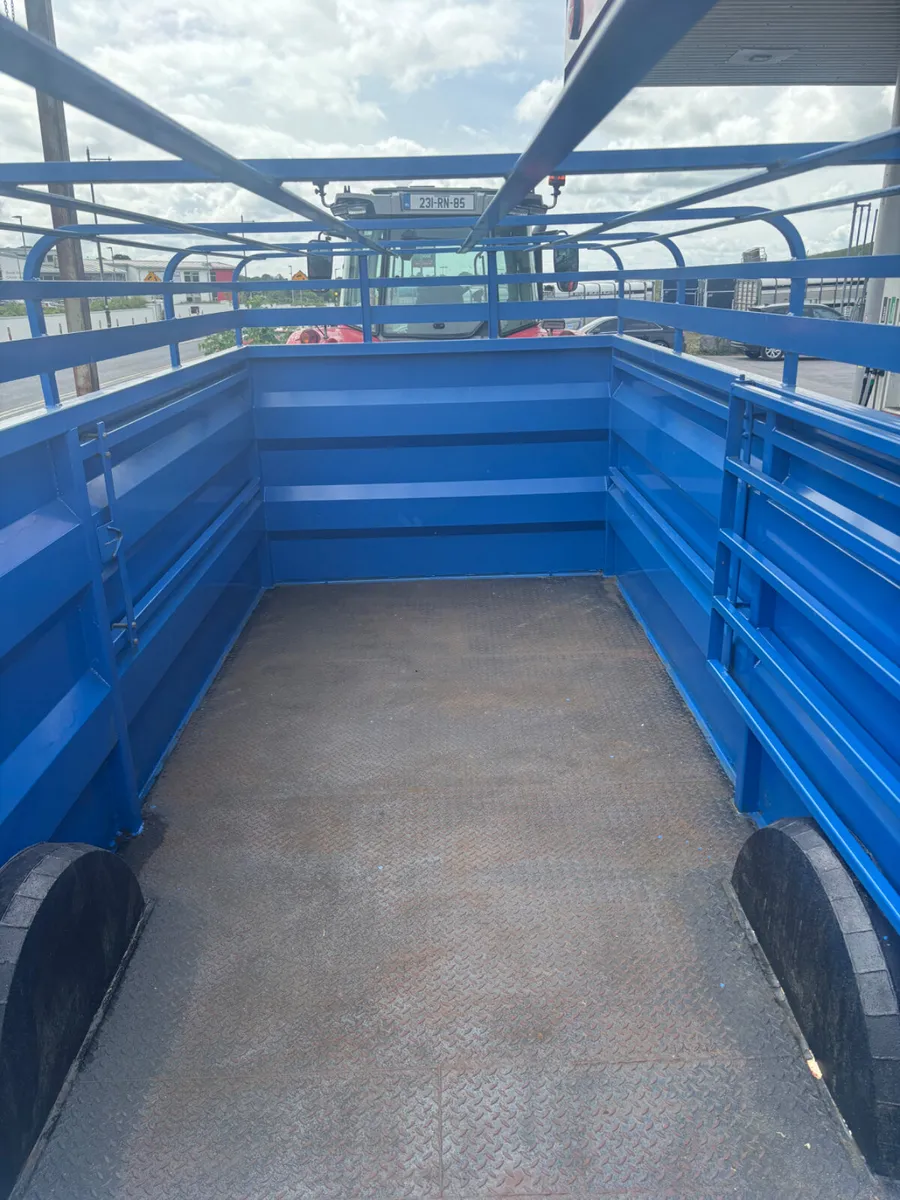 Bracken 18ft livestock trailer - Image 4