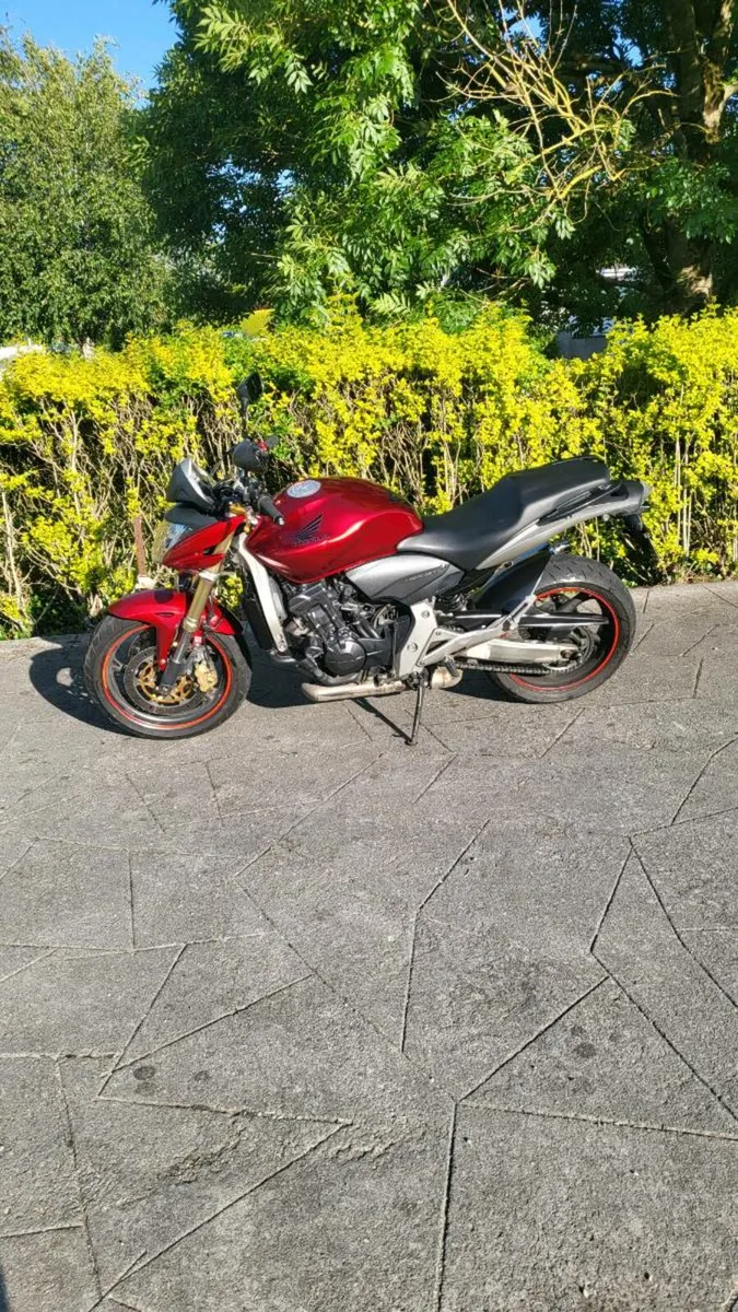 Honda CB600 Hornet - Image 1
