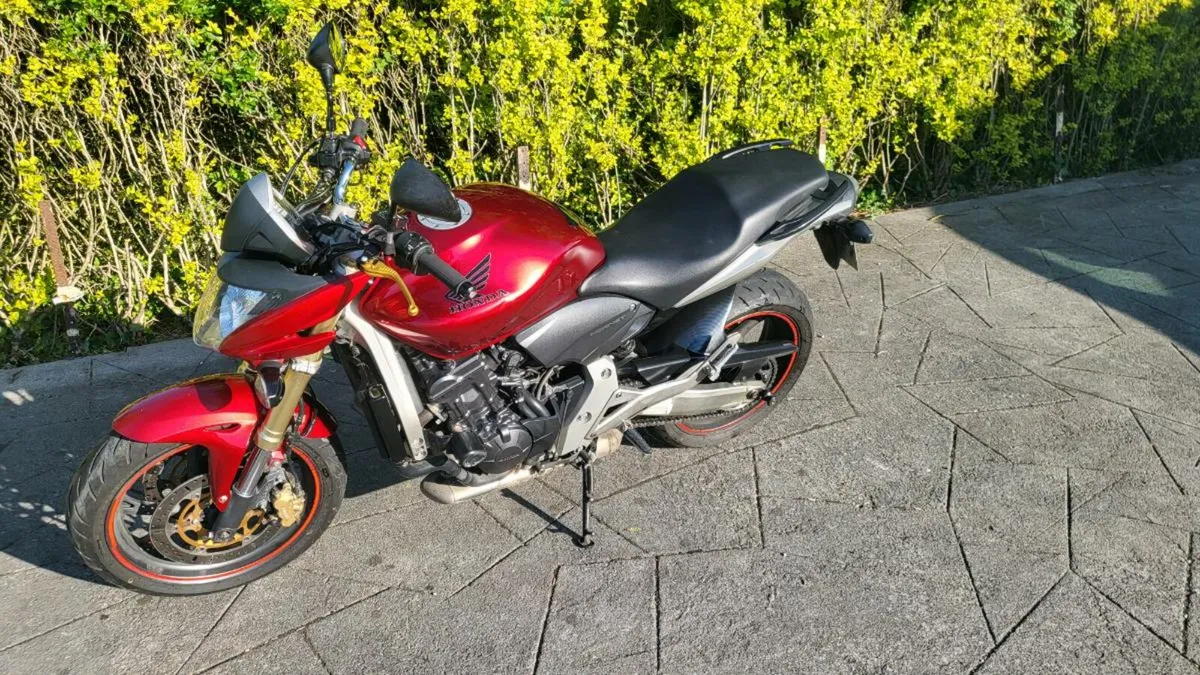 Honda CB600 Hornet - Image 2