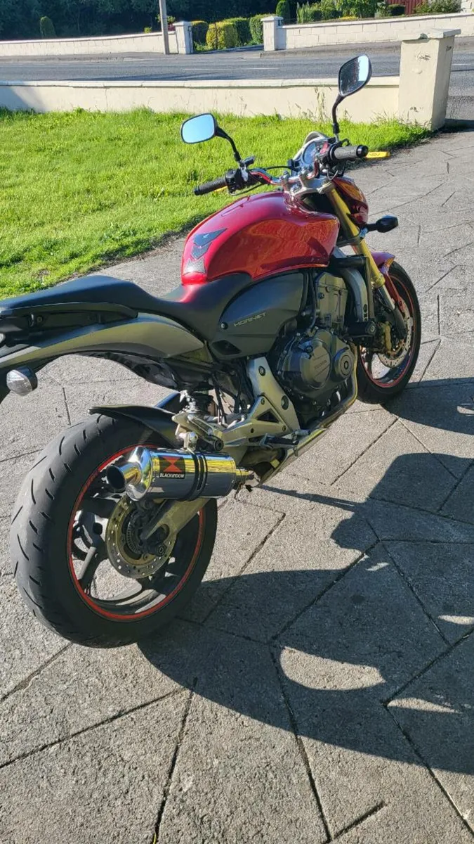 Honda CB600 Hornet - Image 4