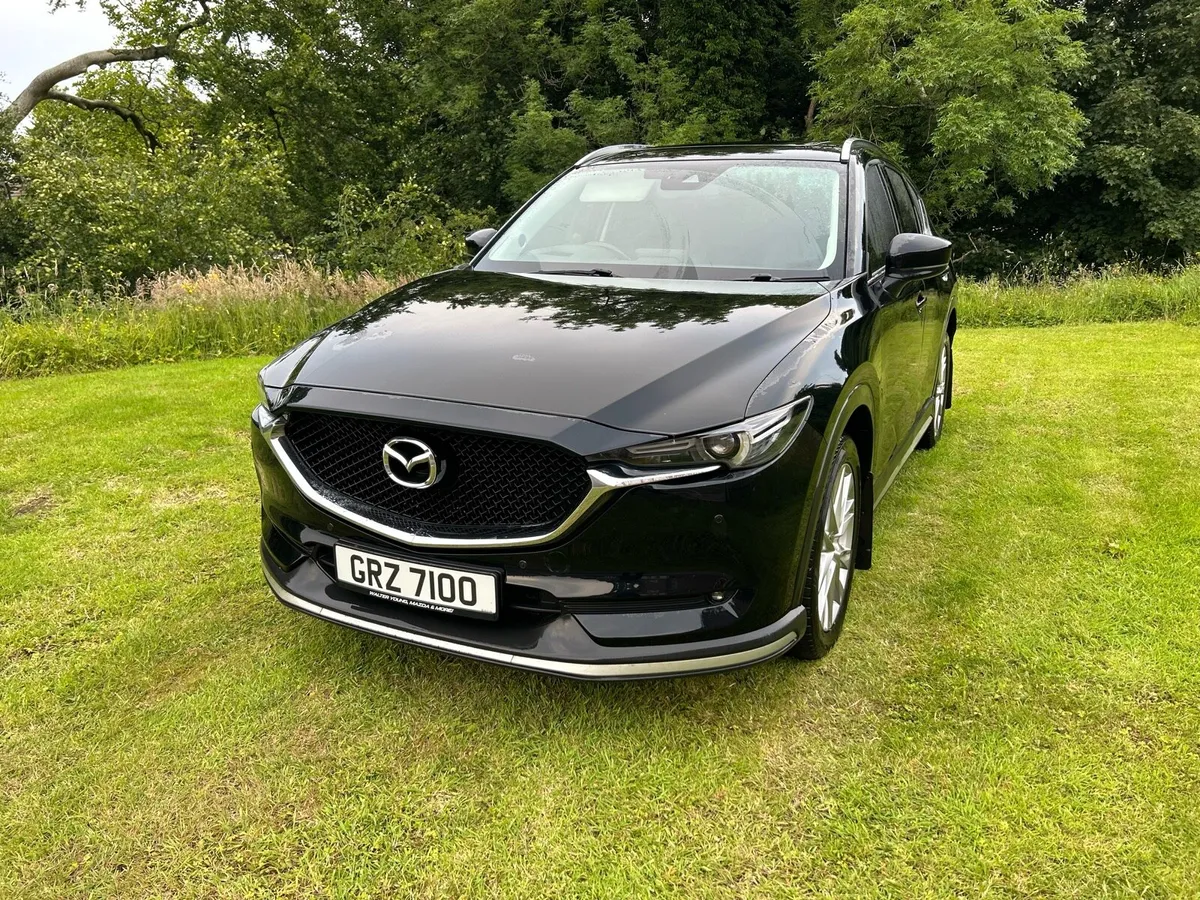 Car - Image 2