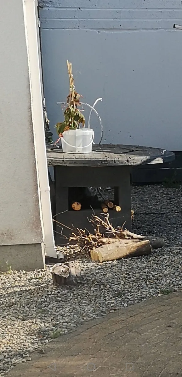 Free to take away Wood table - Image 2