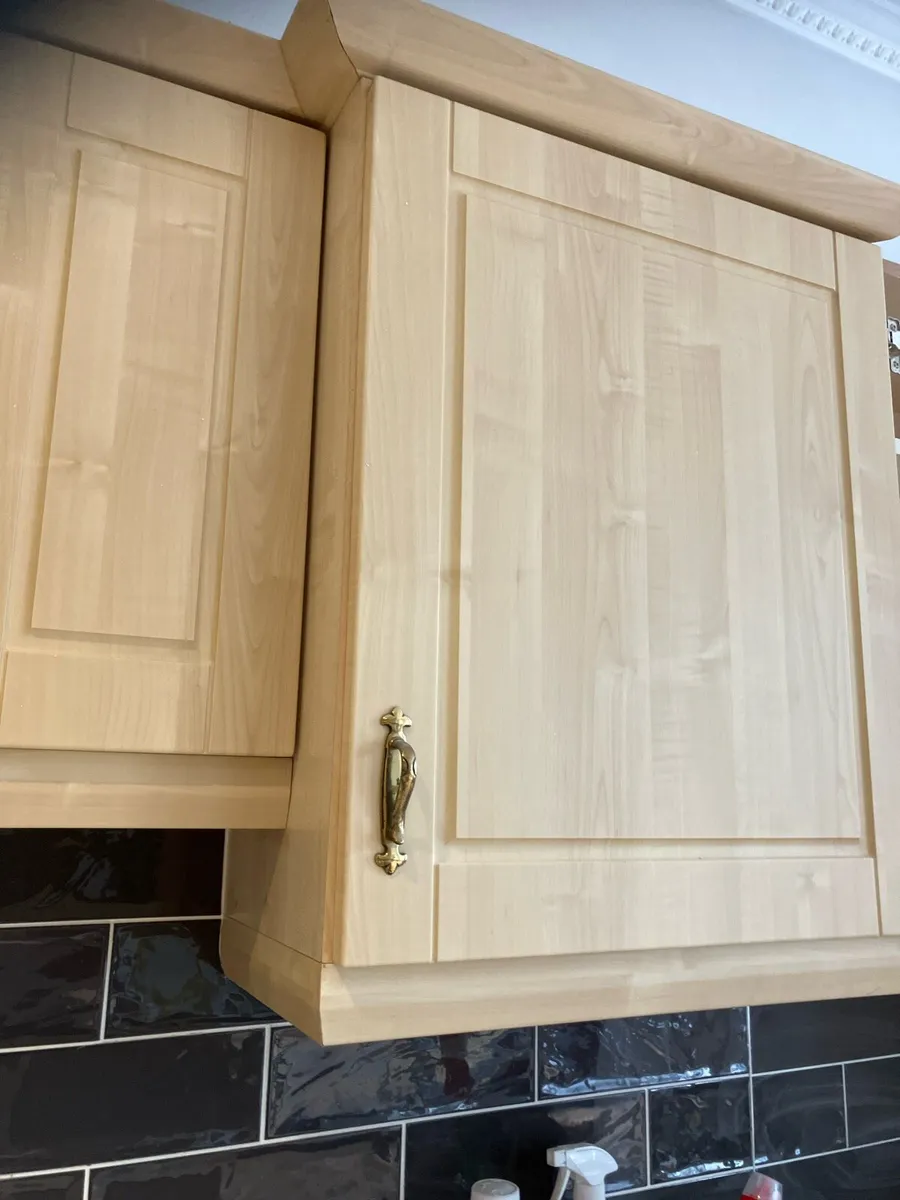 Kitchen doors - Image 1