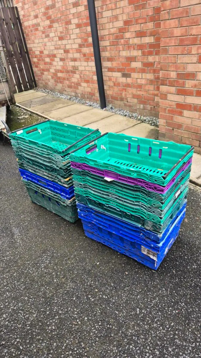 Plastic box crate - Image 1
