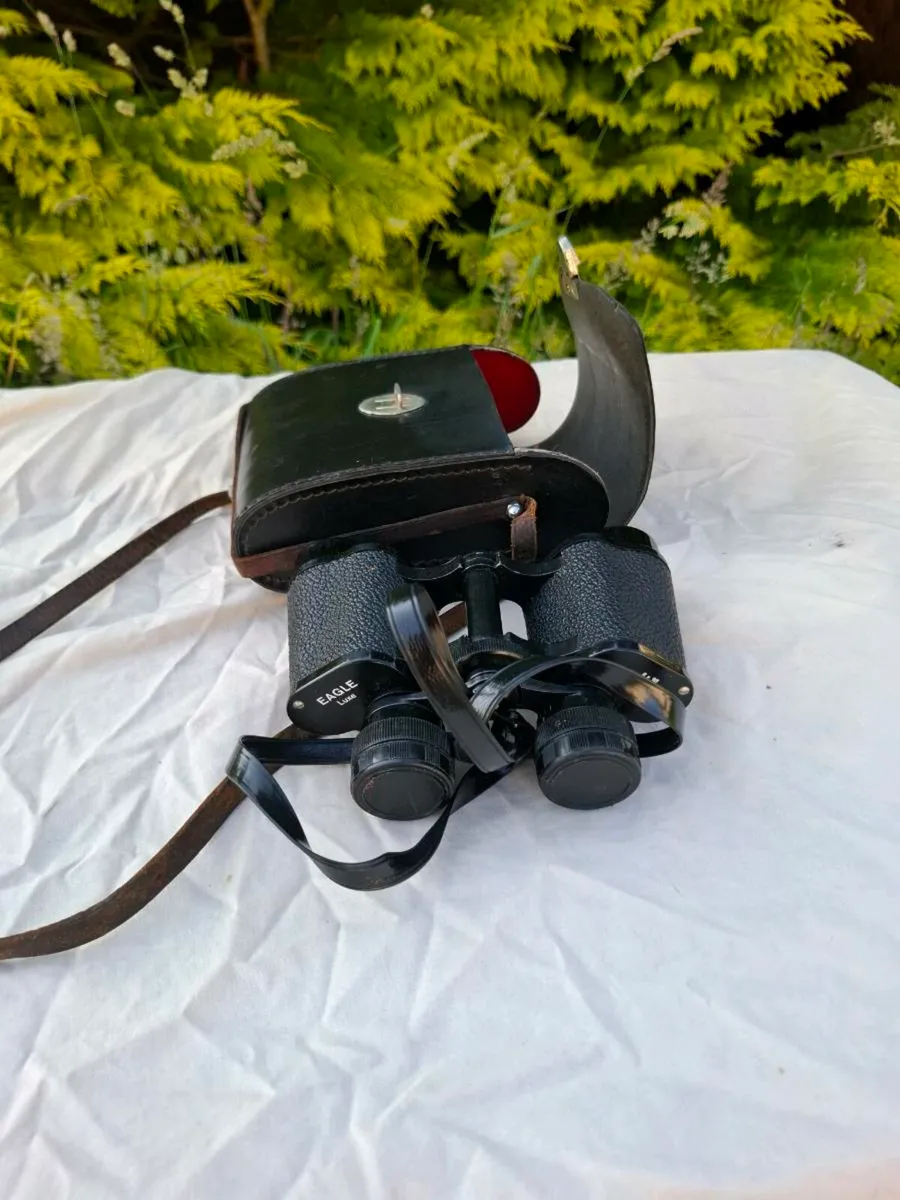 Eagles luxe binoculars postage possible - Image 1