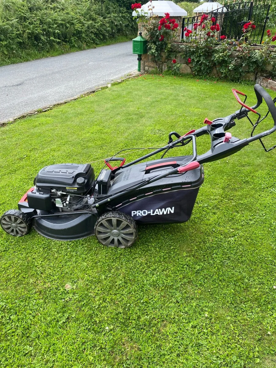 Lawnmower - Image 2